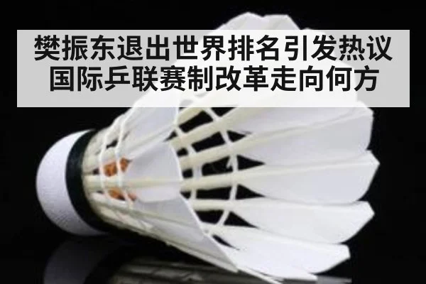 樊振东退出世界排名引发热议 国际乒联赛制改革走向何方